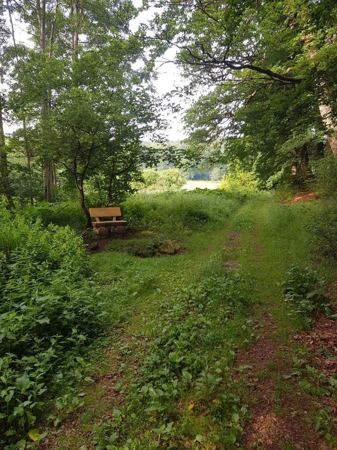 Ferienwohnungen.Ruhla Exterior foto