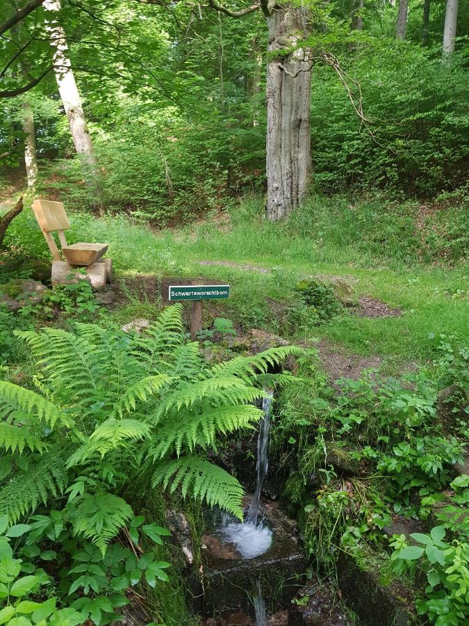 Ferienwohnungen.Ruhla Exterior foto